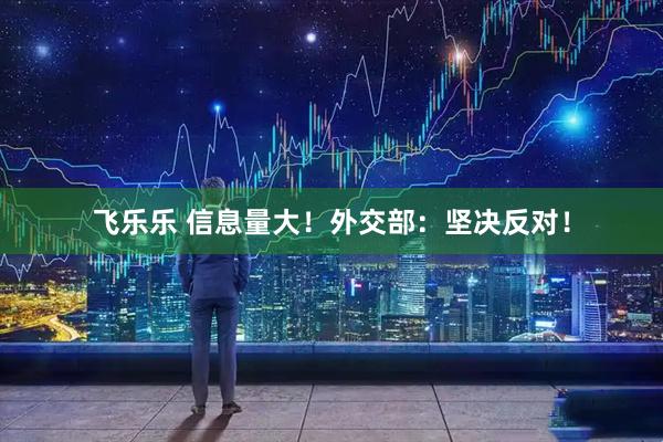 飞乐乐 信息量大！外交部：坚决反对！